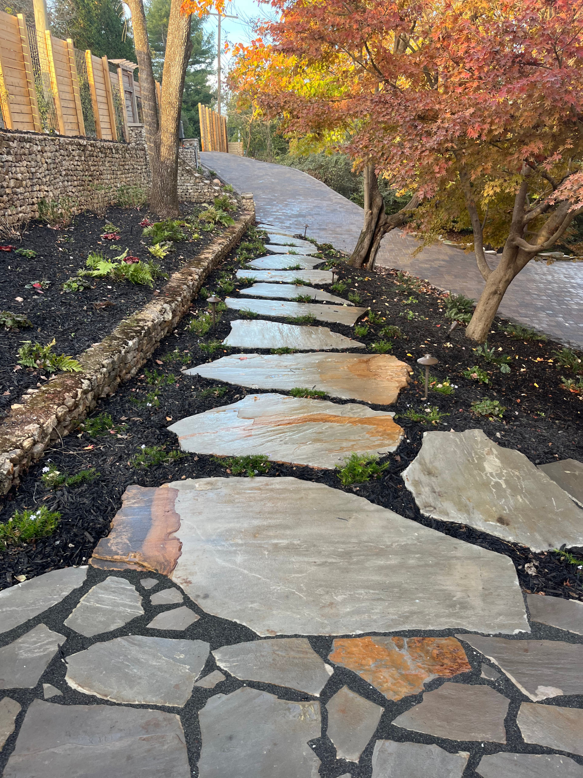 Flagstone walkway under Japanese maple