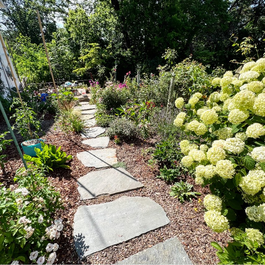 Pollinator and native garden