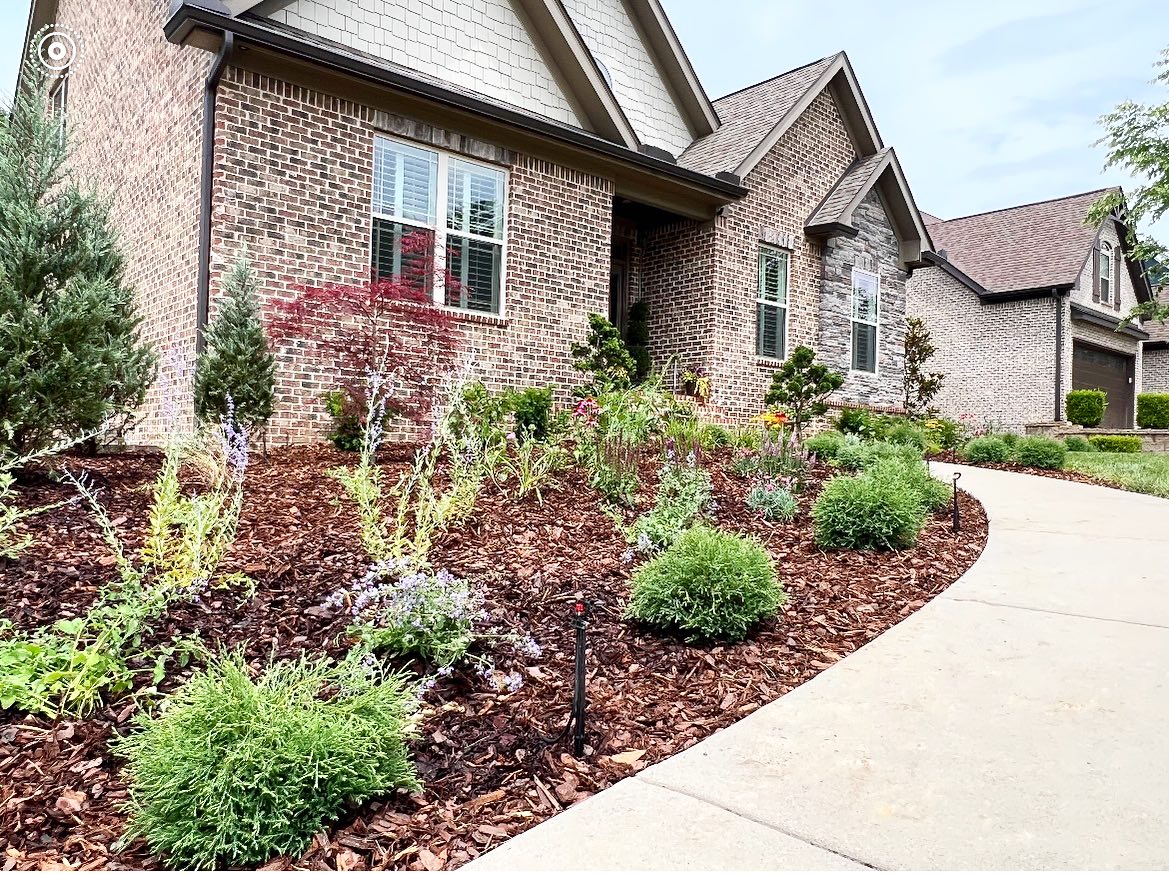 Flower bed in front of brick house with a variety of native plants