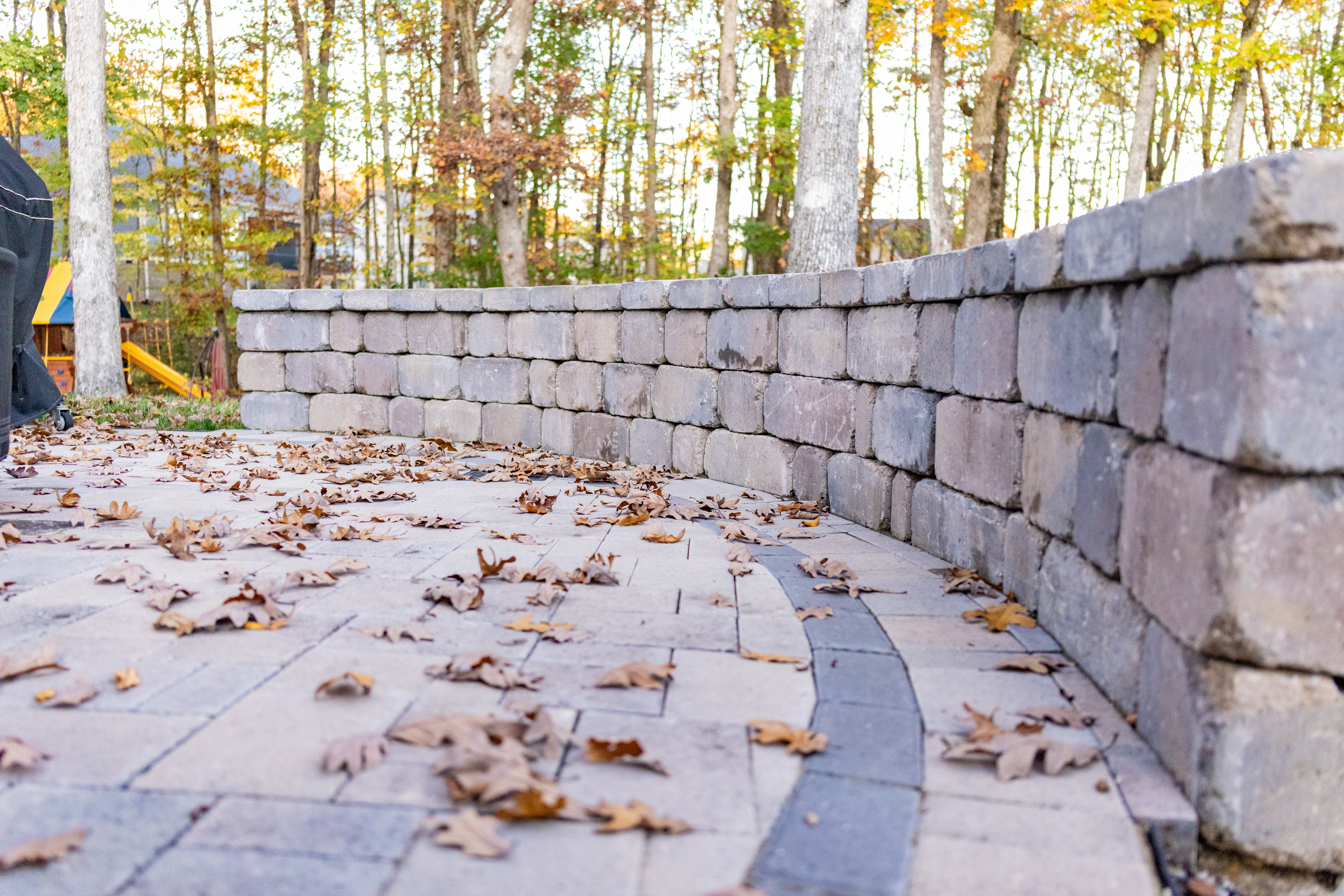 Landscaped yard
