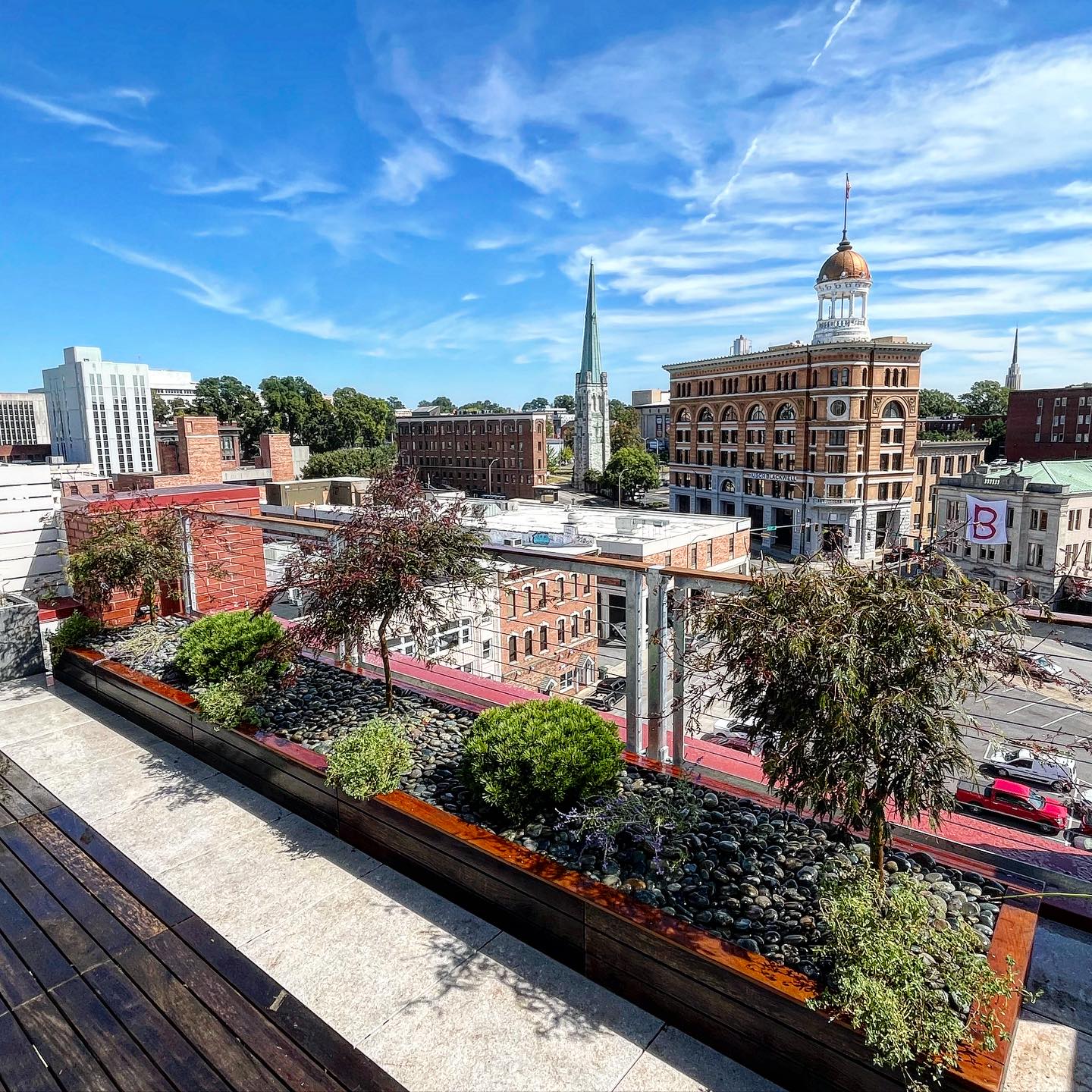 Planter box with native trees and shrubs on balcony overlooking the city