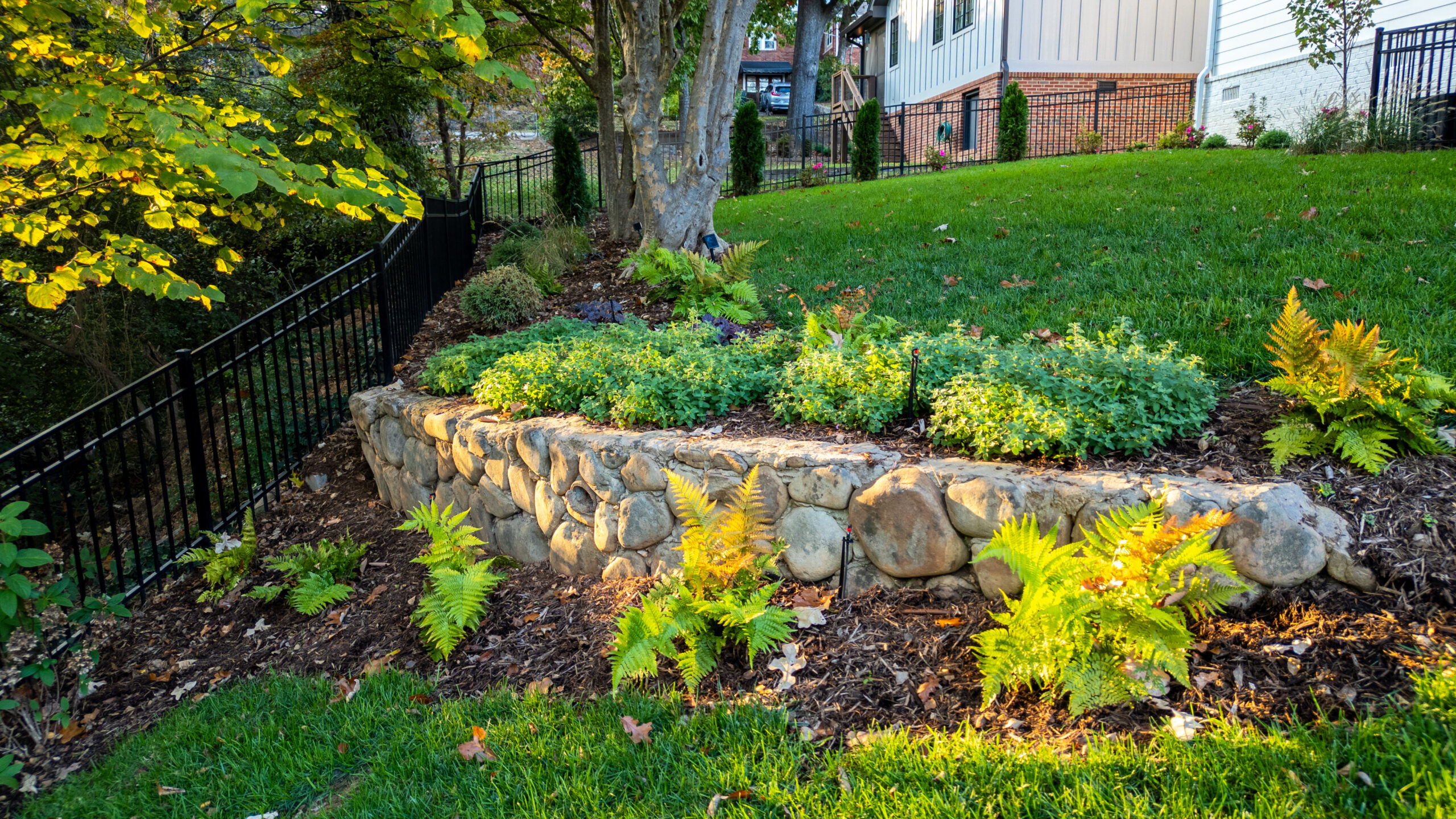 Stone retaining wall and native shrubs