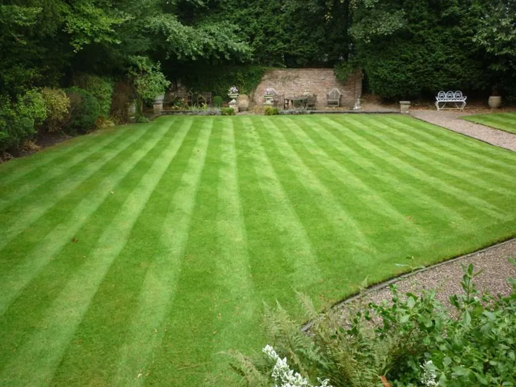 Striped rear lawn