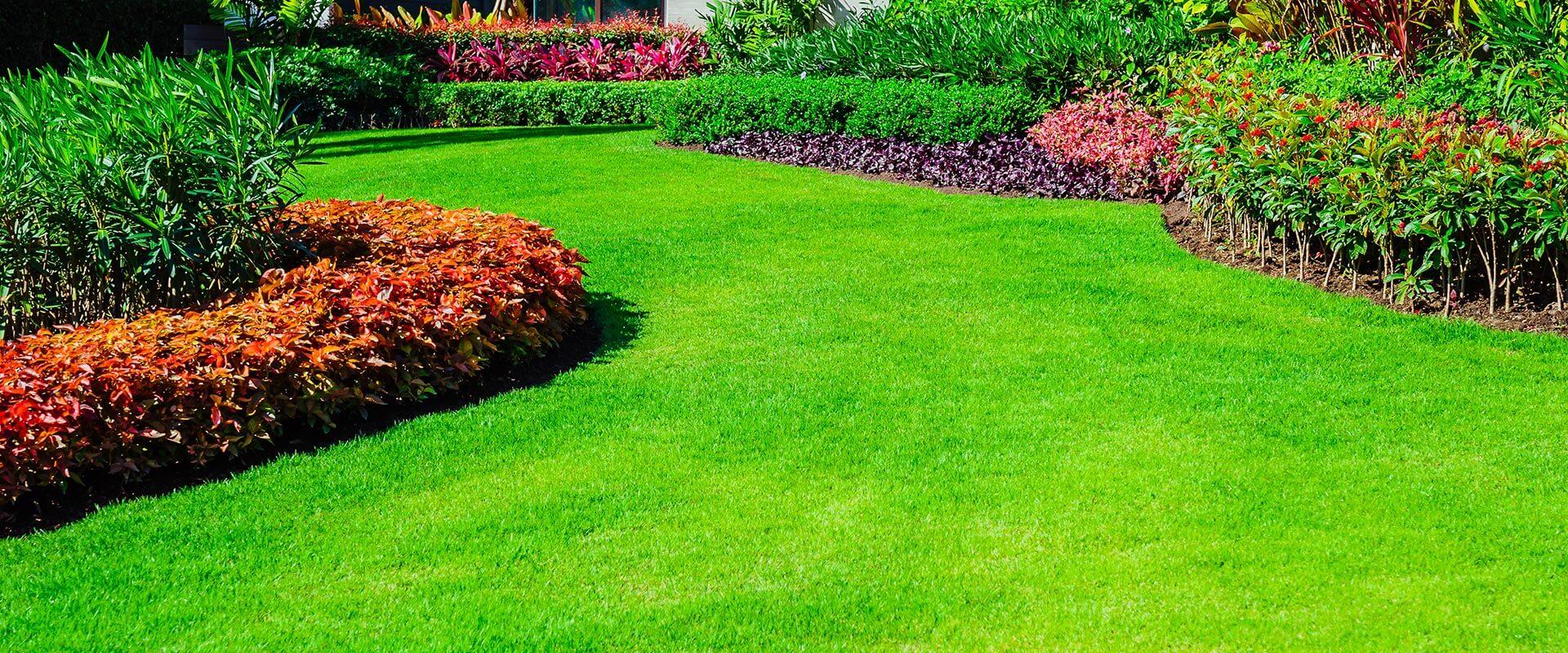Healthy lawn with flower bed borders